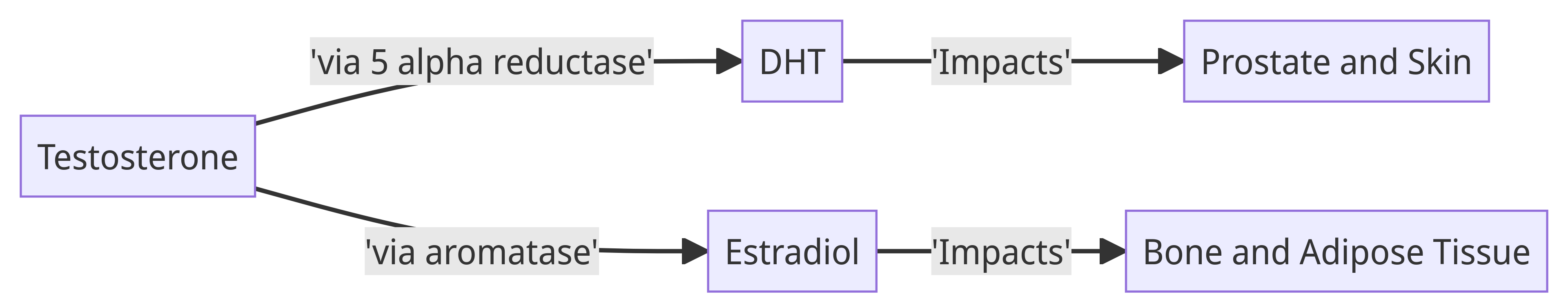 Testosterone Pathways